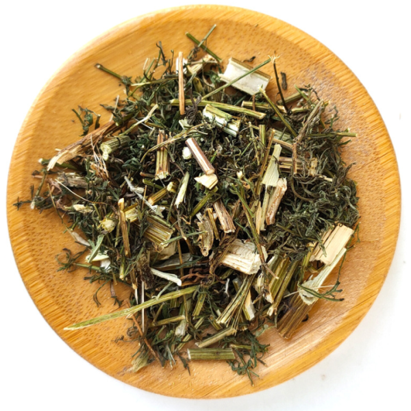 甜艾草厂家-中国干青蒿/黄花蒿干燥批发