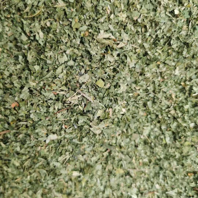 木天蓼叶厂家-100%有机干燥木天蓼叶宠物食品