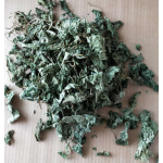 木天蓼叶厂家-100%有机干燥木天蓼叶宠物食品