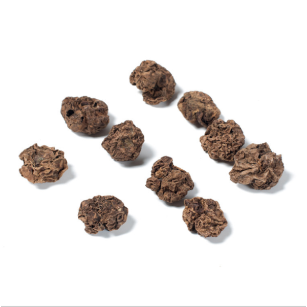 木天蓼果厂家-工厂供应干燥木天蓼果木天蓼猫用