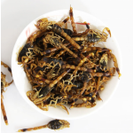 干蝎子厂家-天然全蝎黑色干蝎子草药香料用