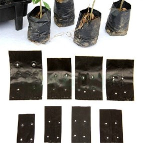PE种植袋厂家-抗紫外线聚乙烯穿孔塑料袋育苗用