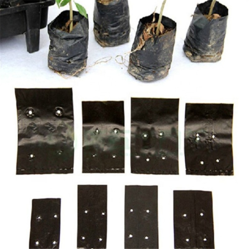 PE种植袋厂家-抗紫外线聚乙烯穿孔塑料袋育苗用