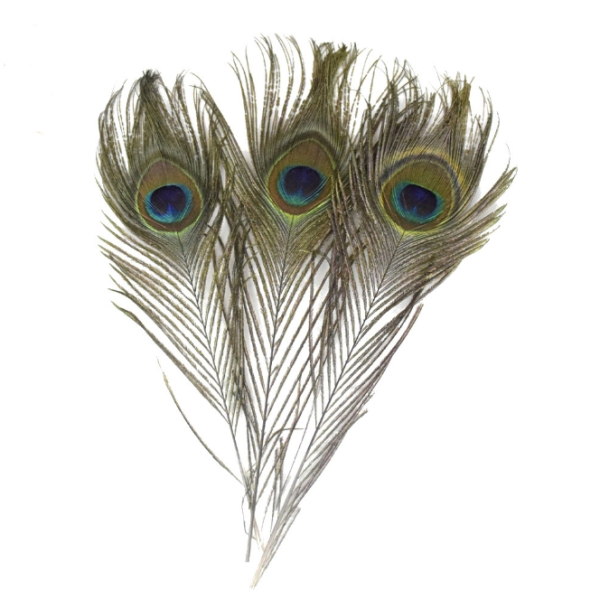孔雀羽毛厂家-天然孔雀眼羽毛fascinator帽装饰艺术