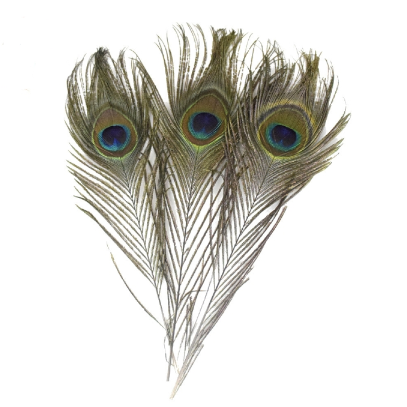 孔雀羽毛厂家-天然孔雀眼羽毛fascinator帽装饰艺术