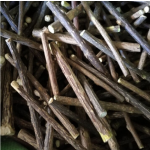 木天蓼棒厂家-工厂供应天然干燥木天蓼棒宠物