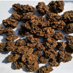 木天蓼果厂家-工厂供应干燥木天蓼果木天蓼猫用