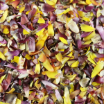 婚礼彩纸厂家-工厂供应干燥蜡菊花瓣