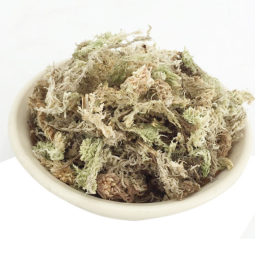 泥炭土厂家-工厂供应顶级干燥泥炭藓爬宠垫料