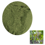 草药粉厂家-100%有机干燥木天蓼叶粉猫宠物用