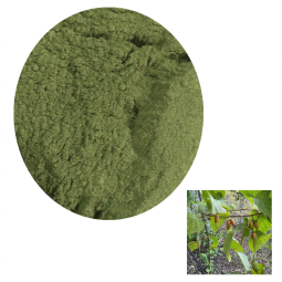 草药粉厂家-100%有机干燥木天蓼叶粉猫宠物用