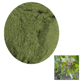 草药粉厂家-100%有机干燥木天蓼叶粉猫宠物用