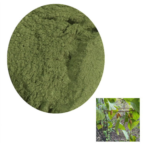 草药粉厂家-100%有机干燥木天蓼叶粉猫宠物用