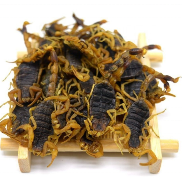 干蝎子厂家-天然全蝎黑色干蝎子草药香料用