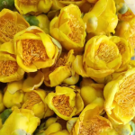 金花茶厂家-金花茶冻干金花茶金色花