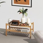 竹制鞋架生产商-双层多功能储物