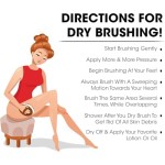 身体刷生产商-剑麻猪鬃竹柄