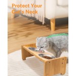 抬高猫碗厂家-15度倾斜护颈架