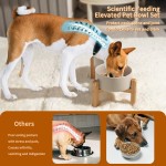 抬高狗碗套装供应商-双陶瓷竹架