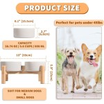 抬高狗碗套装供应商-双陶瓷竹架