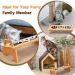 猫食碗套装生产商-3个不锈钢抬高设计