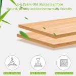 Bamboo Shoe Rack Supplier - 5 Layer Free Standing Multifunctional
