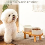 Ceramic Dog Bowls Factory - Elevated Wood Stand 29OZ Capacity
