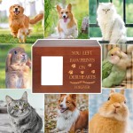 宠物纪念骨灰盒厂家-木质相框记忆盒