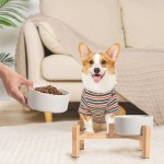 抬高狗碗套装供应商-双陶瓷竹架