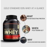 Whey Protein Powder Manufacturer - OEM Custom Fitness Bodybuilding