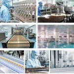 Collagen Powder Manufacturer - OEM Halal Beauty Milk Supplement