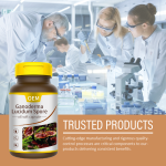 Ganoderma Spore Oil Capsules Manufacturer - Private Label Immunity Boost