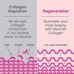Collagen Powder Factory - OEM Custom Hyaluronic Acid MSM