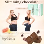 Slimming Chocolate Powder Manufacturer - Private Label Easy Weight Loss