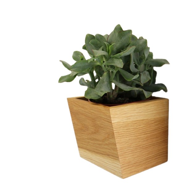 Wooden Flower Pots Factory - JUNJI Planters for Succulents Wall Mounted Indoor Outdoor