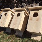 Hanging Birdhouse Manufacturer - Birdhouses Hanging Outdoor Wooden Nest Boxes Easy Clean