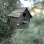 Outside Birdhouse Factory - JUNJI Outside with Pole Wooden Bird House for Finch Bluebird