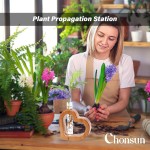 繁殖站厂家-JUNJI悬挂种植器玻璃试管墙装饰