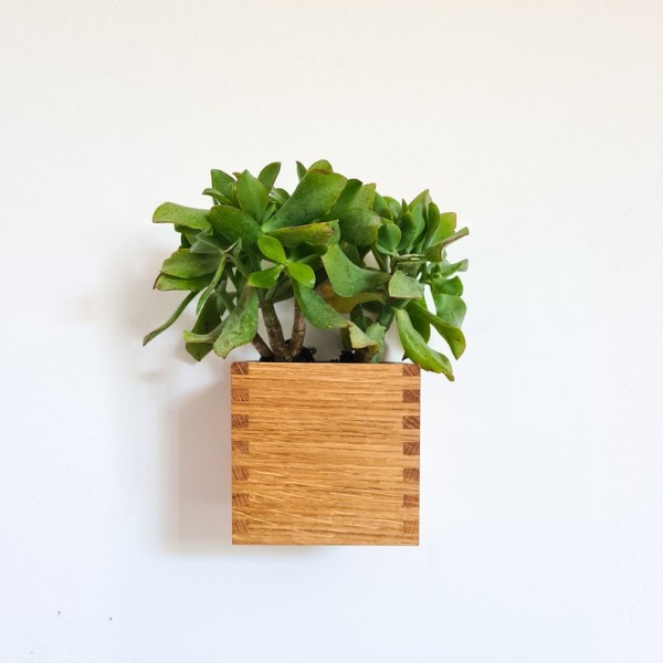 Square Plant Pot Manufacturer - JUNJI Wooden Flower Pots Square Succulents Wall Mounted