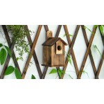 木鸟屋厂家-JUNJI最佳雪松木装饰挂巢豪华现代