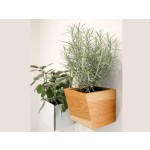 Wooden Flower Pots Factory - JUNJI Planters for Succulents Wall Mounted Indoor Outdoor