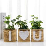 Flower Pots Supplier - 3-Piece Wood Square Succulents Pots for Indoor Home Decor