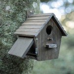 Outside Birdhouse Factory - JUNJI Outside with Pole Wooden Bird House for Finch Bluebird