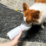 宠物水瓶生产商-三合一500毫升便携
