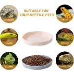 Reptile Food Bowl Factory - 4 Pack Plastic Worm Dish