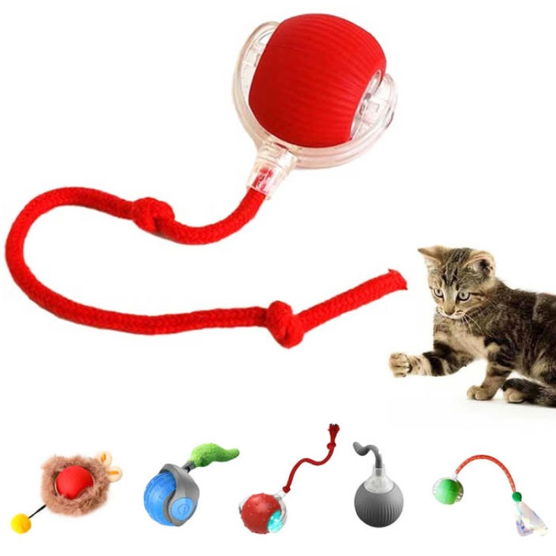 猫球玩具生产商-电动互动快速