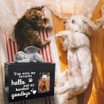 木质宠物骨灰瓮供应商-大容量带相片记忆盒