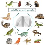 爬虫餐具套装生产商-防滑食碗藏身处