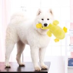 狗缓食器供应商-鸭子吱吱叫互动