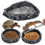 Reptile Feeding Dish Manufacturer - Multi Species Terrarium
